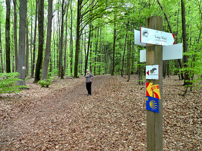 Weltenberg to Kelheim Paths Along Ridgetop 