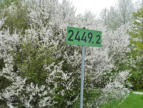 Donau Kilometers to the Black Sea