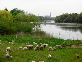 Straubing in the Distance