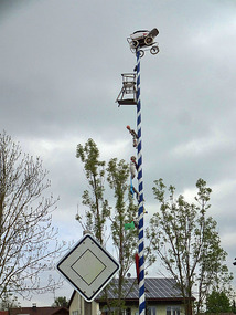 Marriage tree to put pressure on the newlyweds