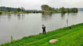 Danube Fisherman