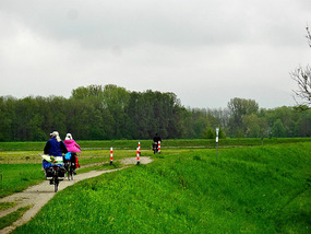 On the Dyke