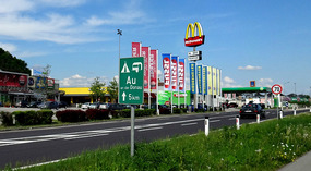 McD's - Out of Nowhere! (near Au)