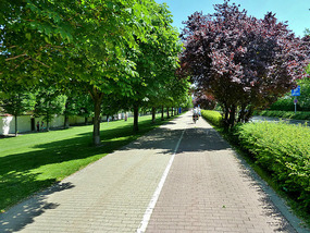 Vienna is Bike Friendly