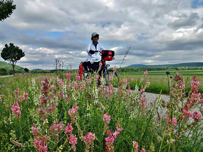 Season for Flowers