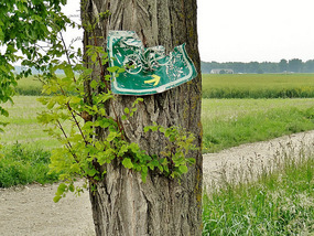 Cycle Route Needs Maintenance in Hungary