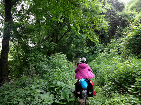 Bikepath Dwindled in Front of Junko