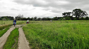 Last of the dirt road before Rackeve
