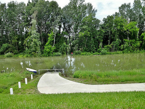 Road to the riverside village is under