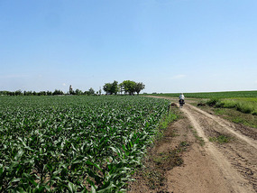 2 km from Hercegszanto, Vodica Mariakert