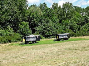 Honey Bee Wagons in Serbia