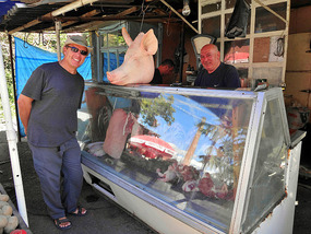 Pig Heads