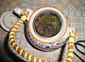 Tusheti tea made from local flowers