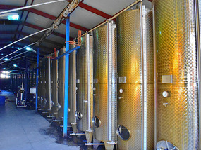 Euro process uses Stainless Steel vats, not Qvevri