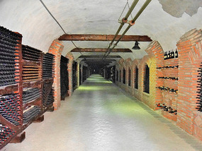 8 Kilometers of Tunnels at Kvareli