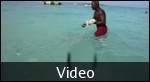Well worth watching