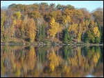 At the Cottage in Huntsville