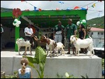 Showing the Contestants