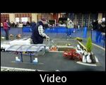 Characters at the Model Engineers Exhibition 