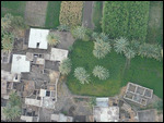 Looking straight down
