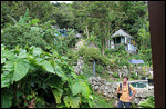 In the grounds of Eco Lodge