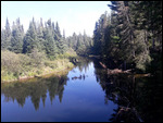 The Algonquin Park