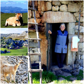 Walking in the Picos de Europe 1