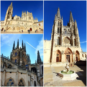 Burgos 4