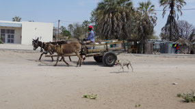 Maun water delivery