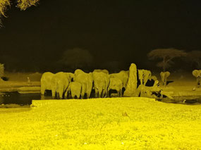 Night view of waterhole