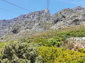 Heading up to Table Mountain