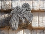 Quadrangle of the Birds