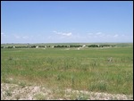 Aksu-Zhabagly National Park, Kazakhstan