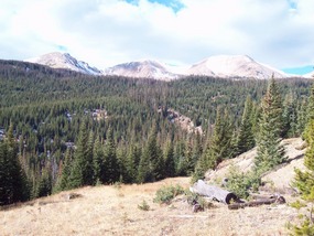 Rawah Wilderness