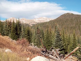Rawah Wilderness