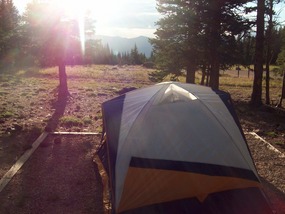 Home for the Night