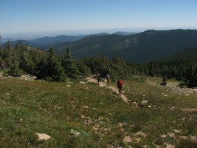 Above Timberline