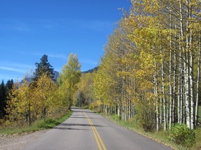 Autumn Roads in Colorado