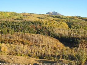 McClure Pass