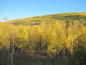 McClure Pass