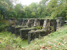 Shenandoah Pulp Factory Ruins