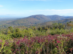 Shenandoah National Park