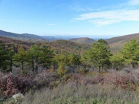 Shenandoah National Park