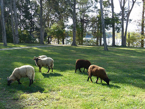 George Washington Birthplace Nat Monument