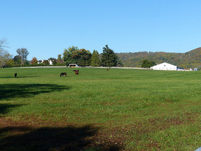 Albemarle County
