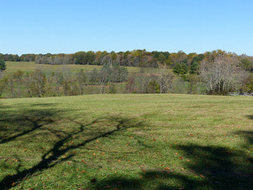Poplar Forest
