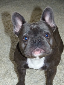 Isn't Lola Adorable!