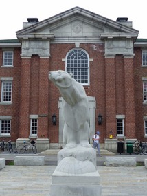Bowdoin Polar Bear