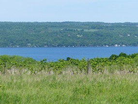 Cayuga Lake