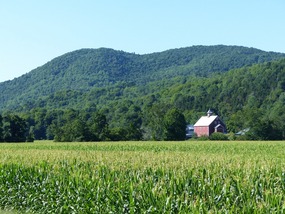 Farm near Rochester